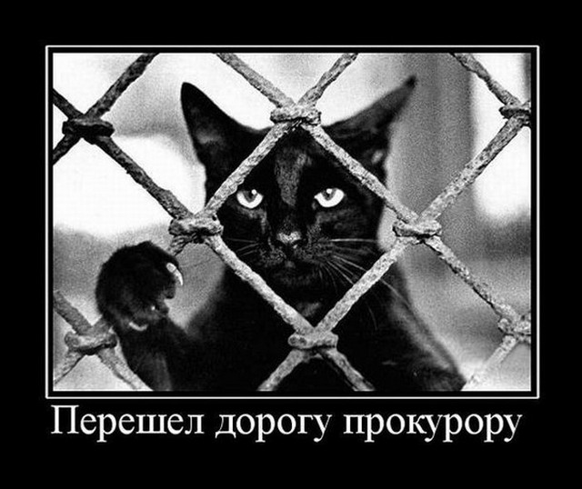 4743317_i24615 (640x538, 72Kb)