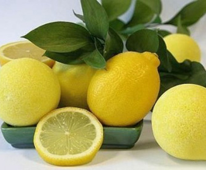 4674007_obichnii_limon (668x550, 145Kb)