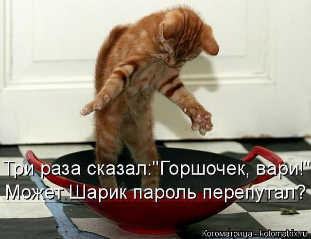4743317_i24698 (640x492, 44Kb)