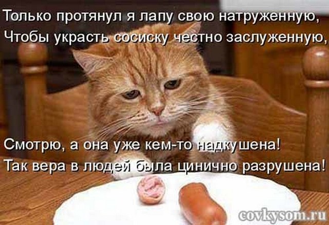 4743317_i24697 (640x439, 75Kb)