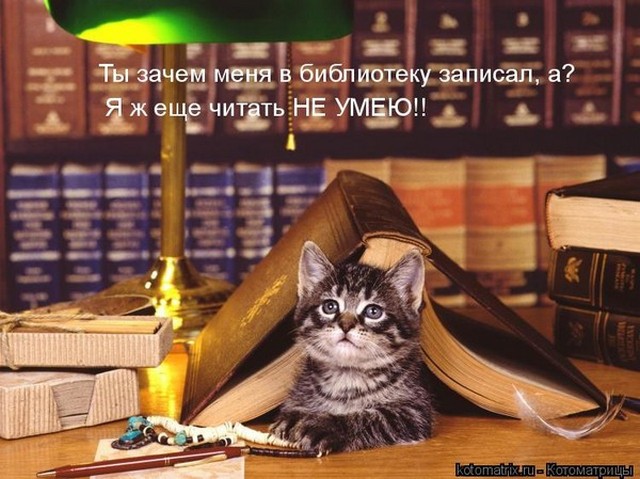 4743317_i24700 (640x479, 87Kb)