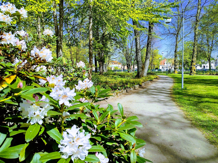 IMG_20250505_124844353_HDR (700x525, 671Kb)