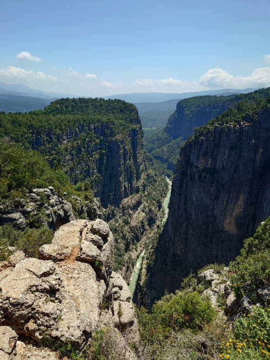 20250506_133113 (525x700, 528Kb)