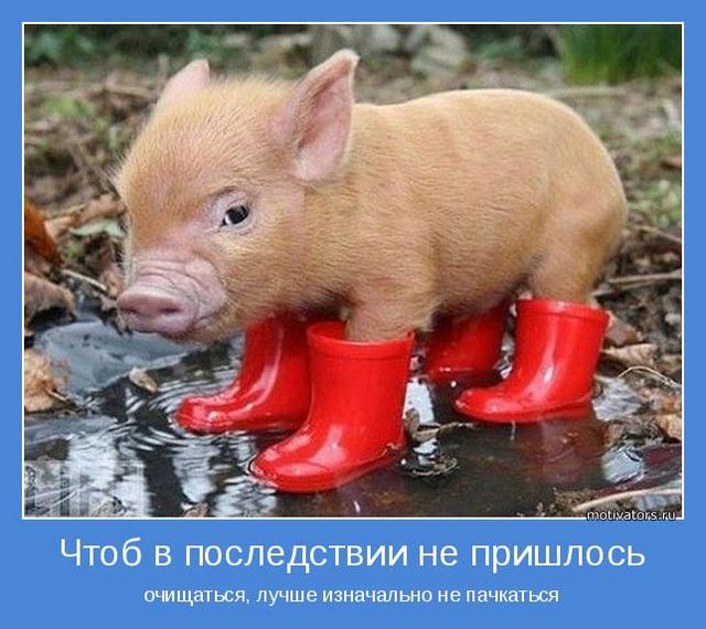 4743317_motivator50011 (640x570, 59Kb)