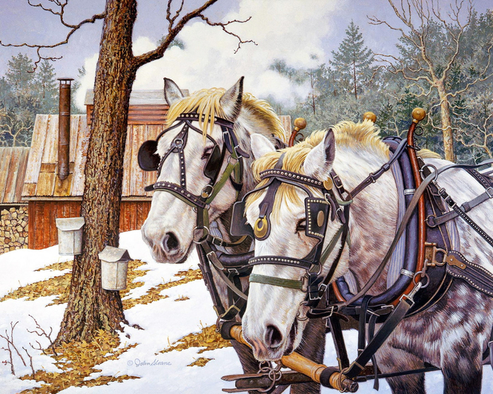 mailservice (5) (700x560, 614Kb)