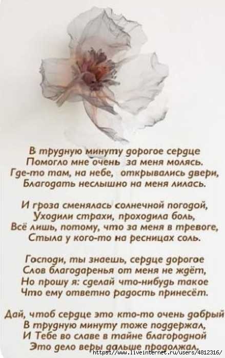 IMG-20250503-WA0010 (439x700, 112Kb)