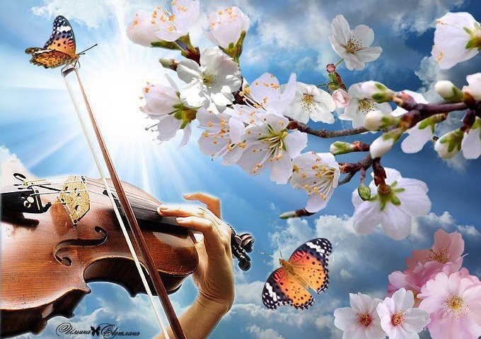 5152557_675image (680x480, 102Kb)