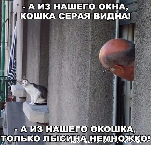 2997510140 (522x500, 162Kb)