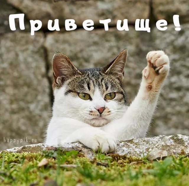 4743317_ba9cca8b (640x629, 96Kb)