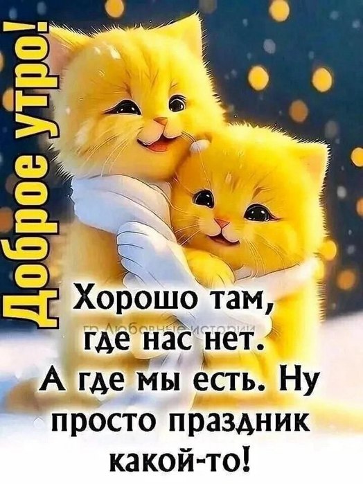 4743317_photo_20250220_071453 (524x700, 86Kb)