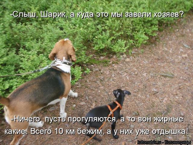 4743317_l (640x480, 76Kb)