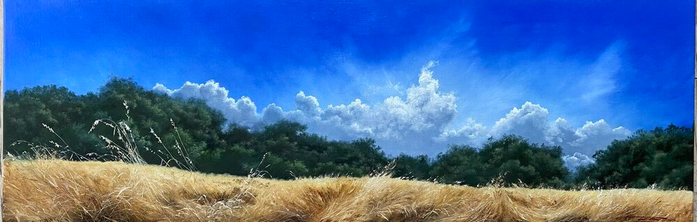 IMG-6105 (700x222, 186Kb)