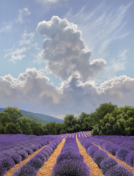 valensole (535x700, 390Kb)