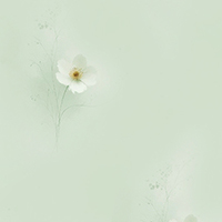 3.jpg (200x200, 10Kb)