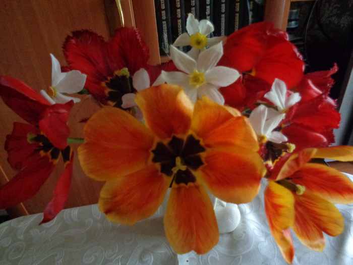 162197041_DSC09711 (700x525, 364Kb)