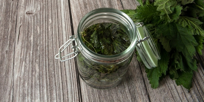 7301510_shutterstock_1728456601_1_1745519975 (700x350, 222Kb)