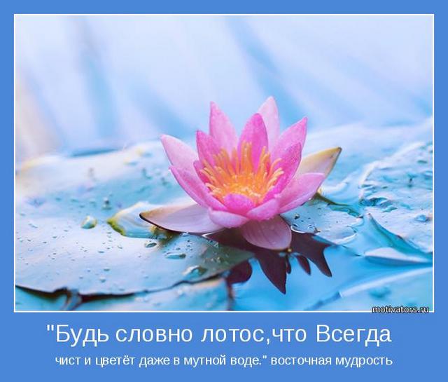 4743317_motivator51564 (640x545, 39Kb)