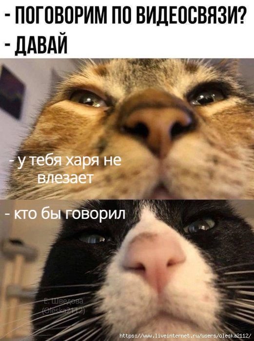 quote-2025-05-09-bd119338b3c88d6fb0e042cce20e210f (521x700, 254Kb)