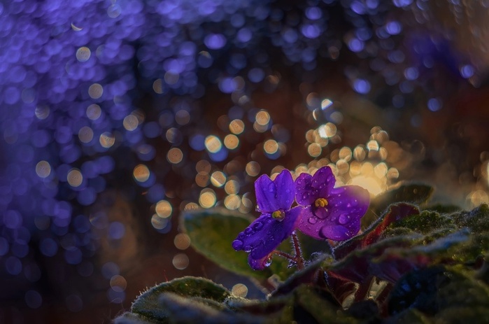 07 (700x463, 91Kb)