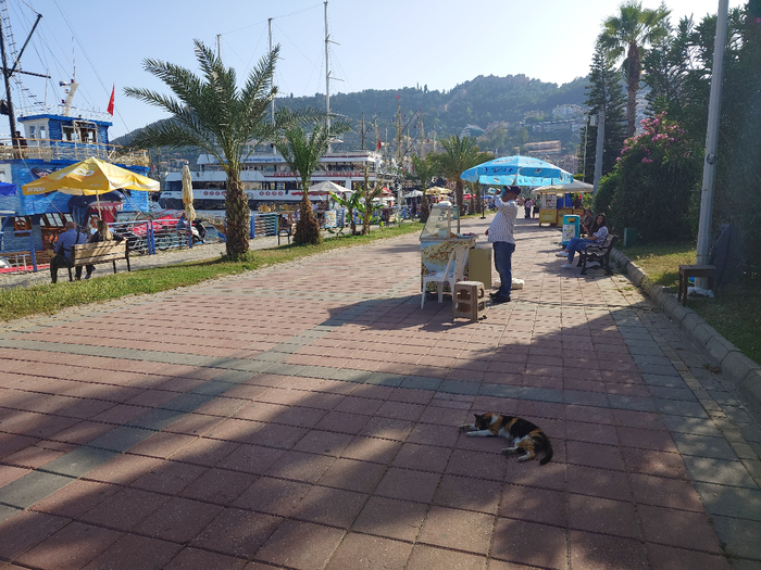 20250509_165753 (700x525, 471Kb)