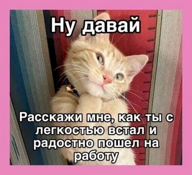 4743317_eeaa7dfd (640x584, 104Kb)