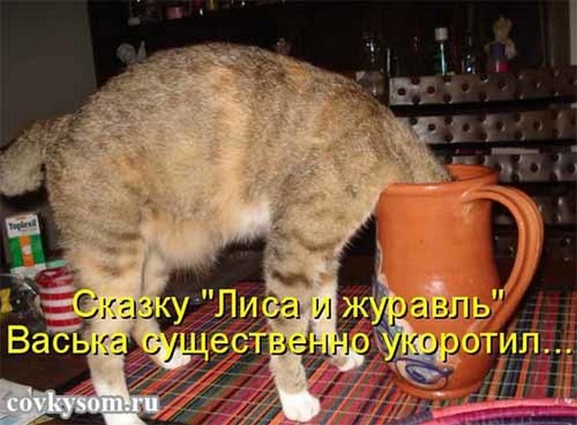 4743317_i24687 (640x472, 79Kb)
