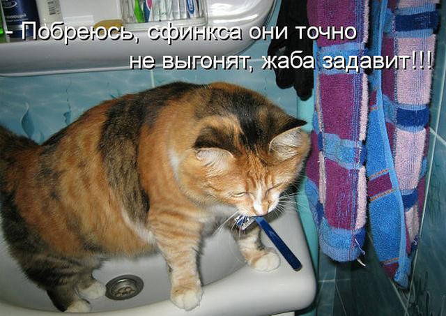 4743317_i5717 (640x453, 111Kb)