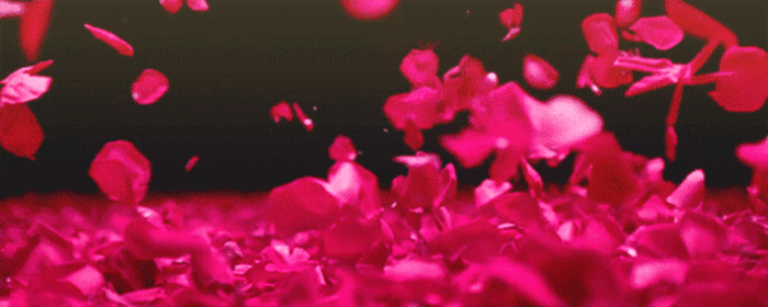 155507200_145026111_14978953 (700x280, 991Kb)