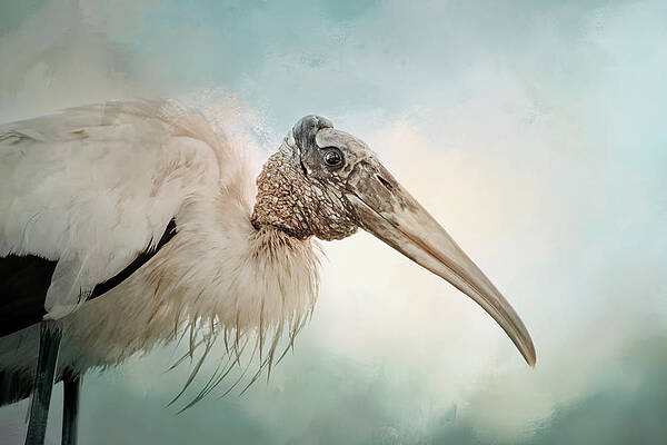 blissful-stork-georgiana-romanovna (600x400, 78Kb)