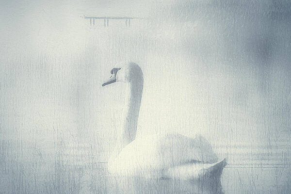 one-beautiful-moment-zeana-romanovna (600x400, 74Kb)