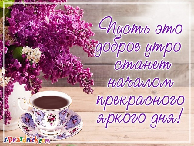 4743317_image20200321 (640x480, 123Kb)