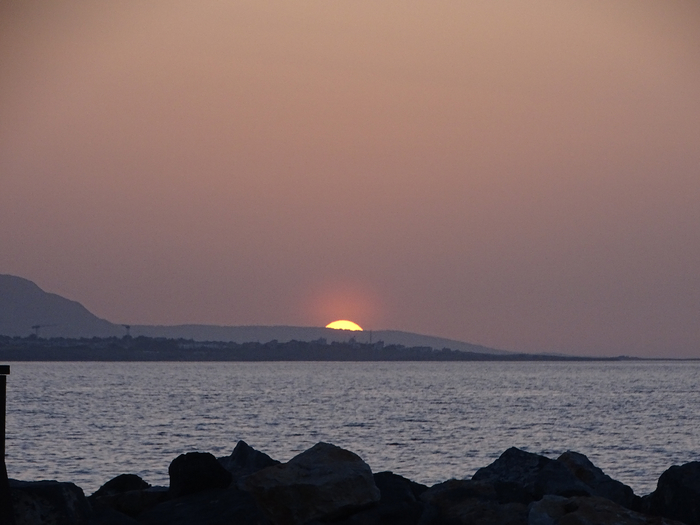 DSC00102 (700x525, 280Kb)