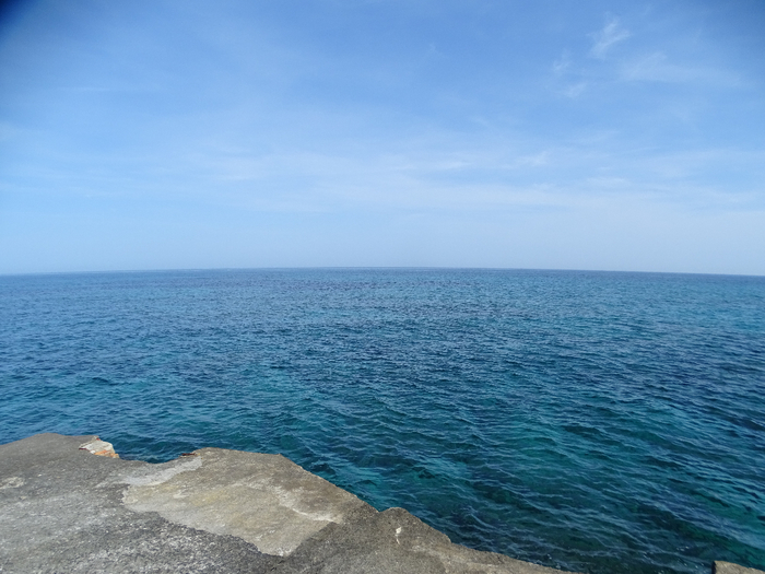 DSC00115 (700x525, 344Kb)
