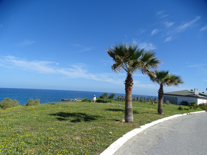 DSC00057 (700x525, 425Kb)