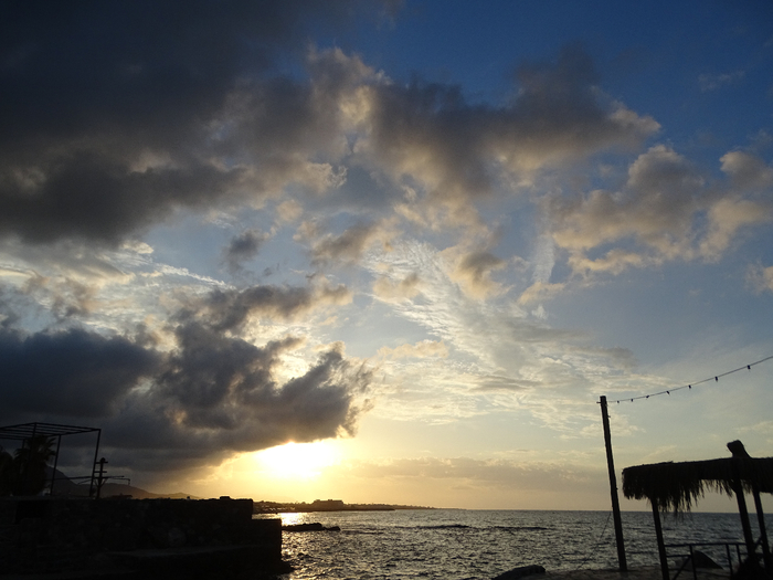 DSC00134 (700x525, 315Kb)