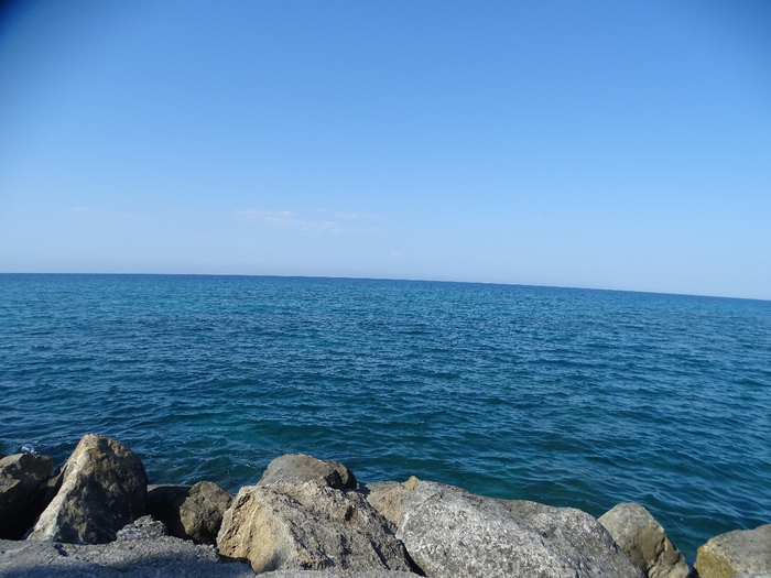 DSC00040 (700x525, 353Kb)