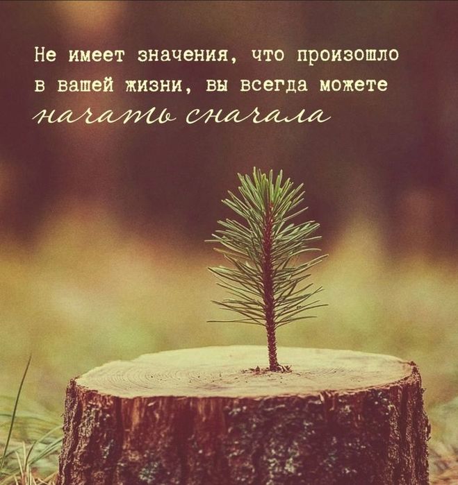 92467646bd2406a203abb22a5a4ad3cf (659x700, 71Kb)