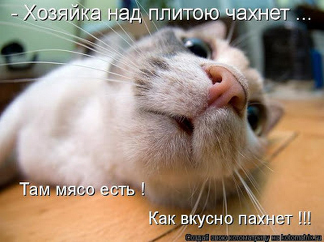 4743317_i24765 (640x478, 96Kb)