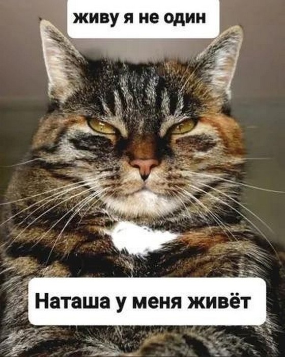4743317_cd77df73 (560x700, 101Kb)