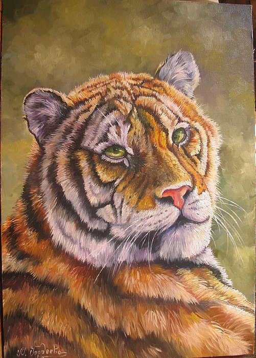 tigr-50x35 (501x700, 361Kb)