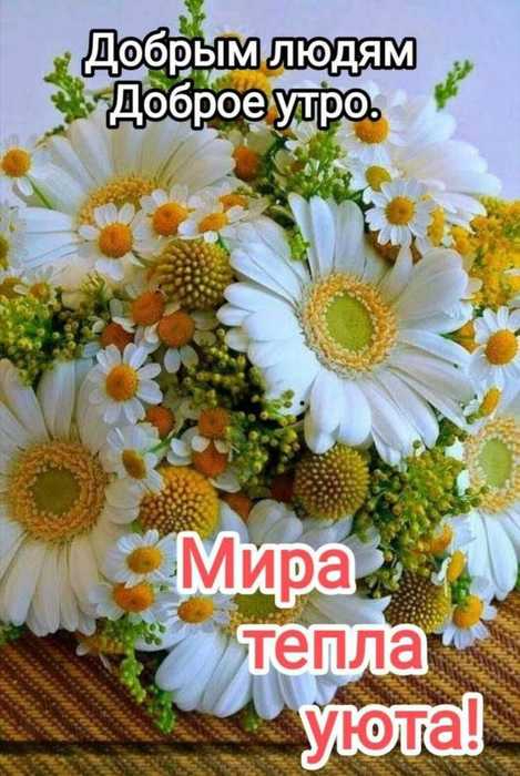 Доброго утра от Форуг (469x700, 299Kb)