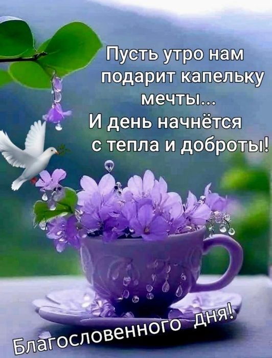 IMG_20250513_192559 (532x700, 67Kb)