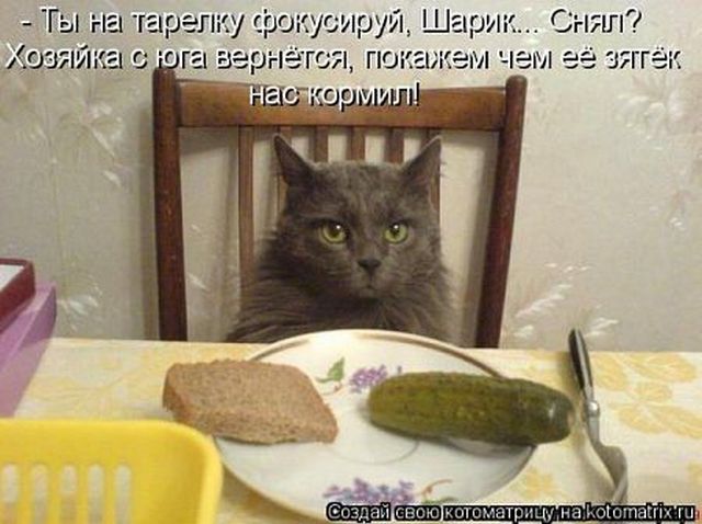 4743317_i24760 (640x478, 50Kb)