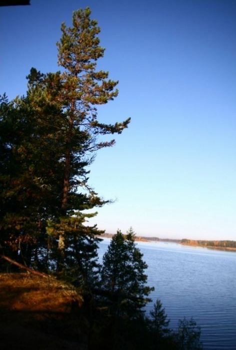 4743317_medium59524 (472x700, 186Kb)