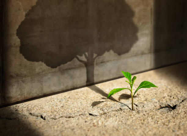 2920362_istockphoto1345771202612x612 (612x444, 36Kb)