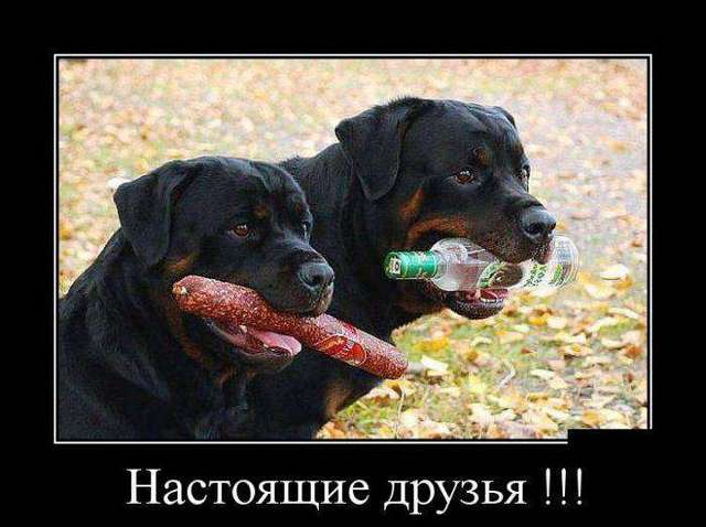 4743317_1442564995_18 (640x478, 38Kb)