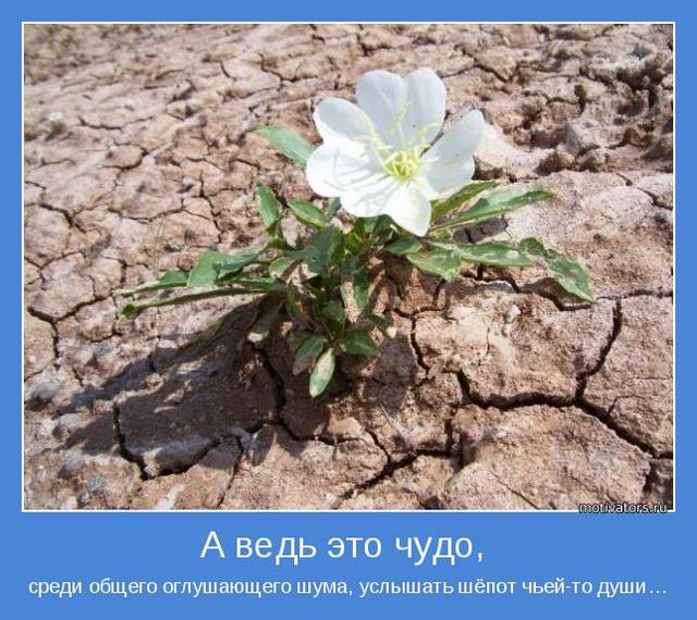4743317_motivator44571 (640x570, 78Kb)