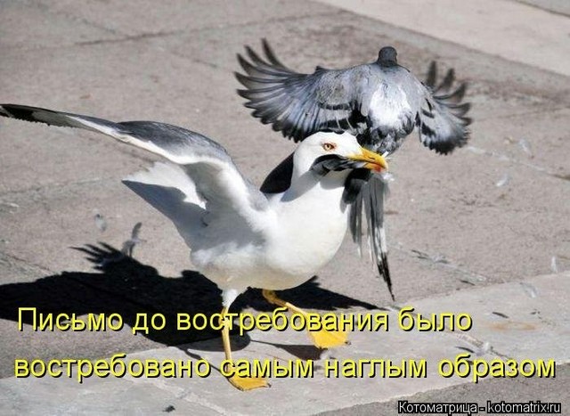 4743317_pic (640x467, 84Kb)