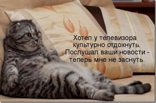 4743317_i5993 (640x424, 73Kb)
