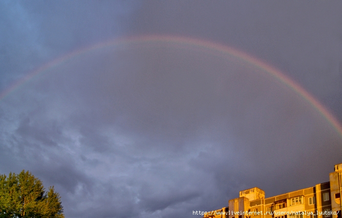 DSC04754 (700x447, 188Kb)